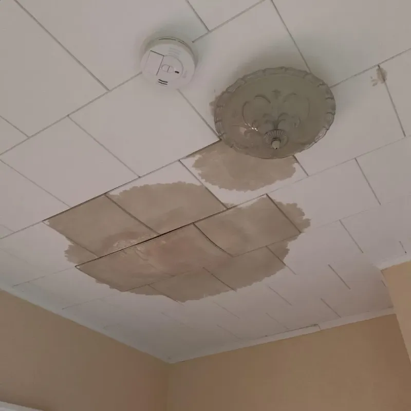 Ceiling Water Damage Repair in Oakdale, PA