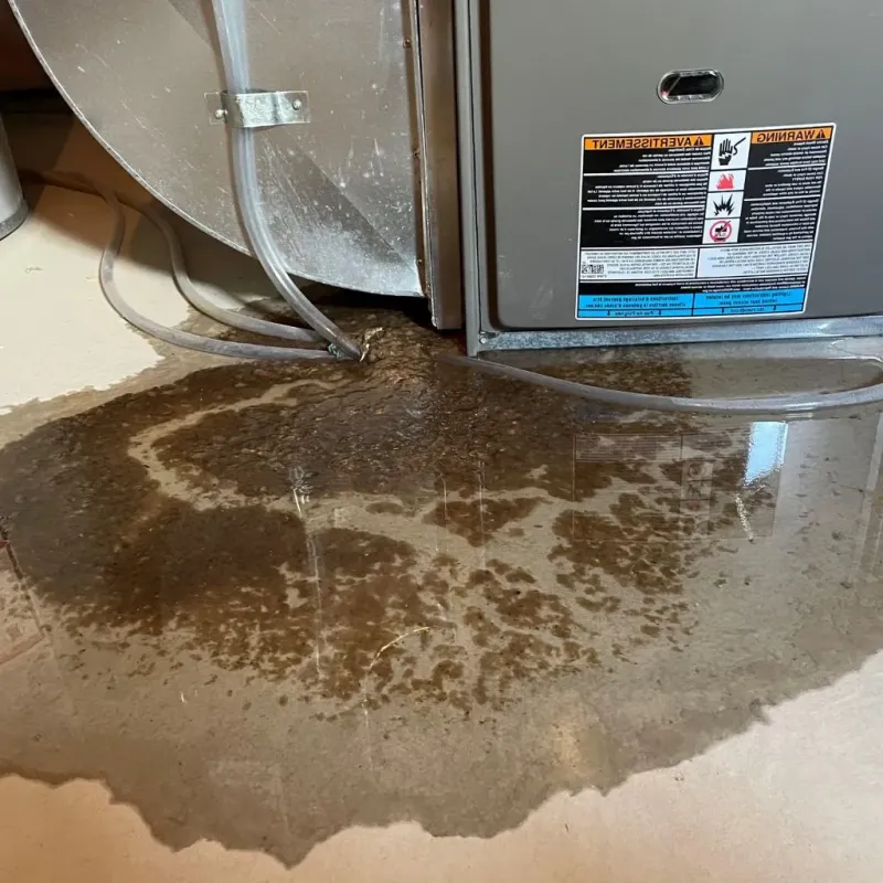 Pipe Burst and Leak Restoration in Oakdale, PA