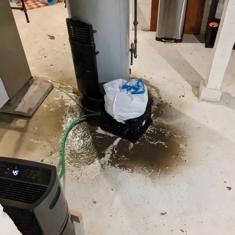 Sewage Backup Cleanup Service in Oakdale, PA